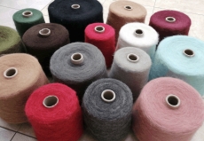 ANTARES IGEA - АНТАРЕС ІГЕА