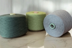 NUOVA CASH 30 BIAGIOLI MODESTO - НУОВА КАШ 30 БІАДЖІОЛІ МОДЕСТО